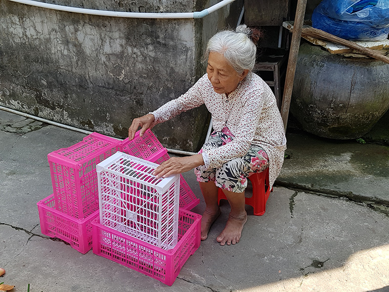 Bà ngoại già yếu, bệnh tật nuôi hai cháu nhỏ