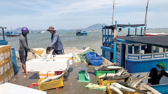 Thủ tướng Chính phủ yêu cầu  chấm dứt tình trạng tàu cá vi phạm quy định về khai thác hải sản 