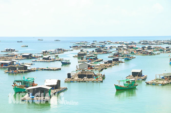 Kiên Giang kêu gọi đầu tư bổ sung 3 dự án nuôi trồng thủy sản