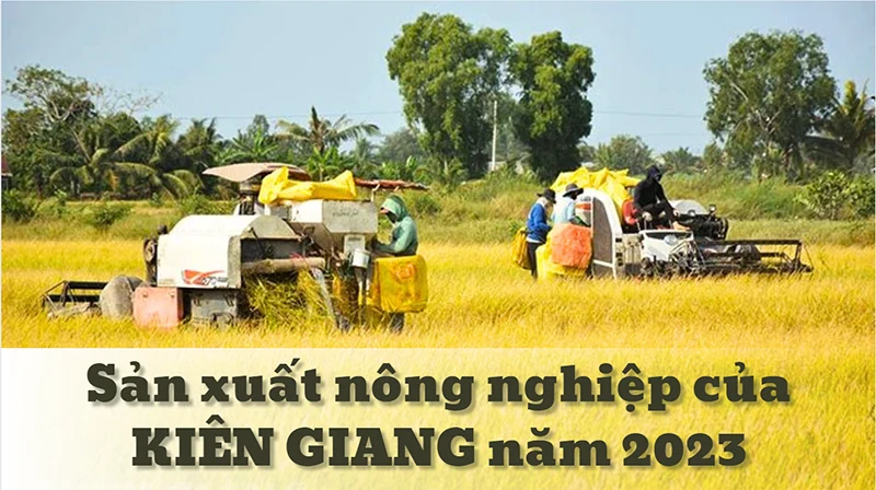 Sản xuất nông nghiệp của Kiên Giang năm 2023
