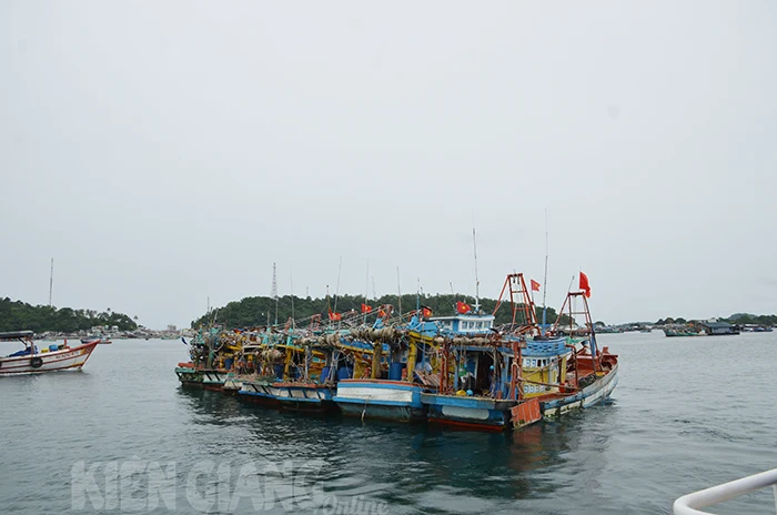 Chủ tịch UBND tỉnh Kiên Giang chỉ đạo ứng phó hoàn lưu bão Yagi