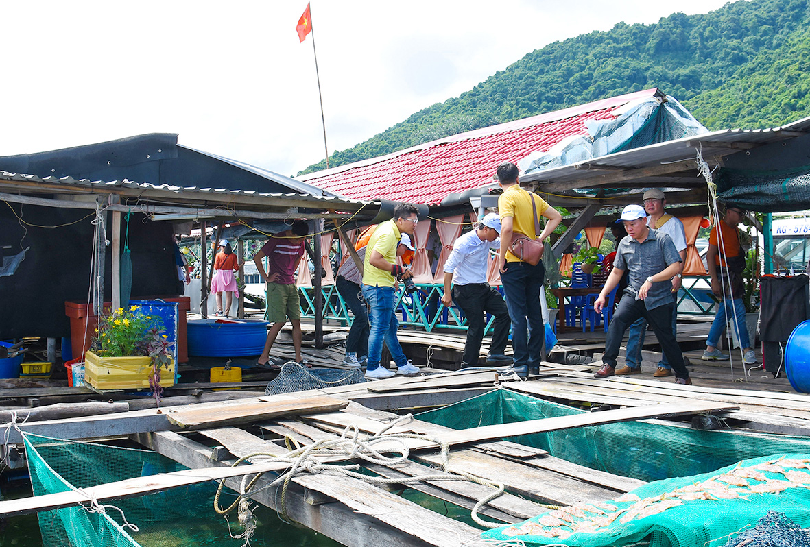 Du khách tham quan mô hình nuôi cá lồng bè của người dân Hòn Nghệ.